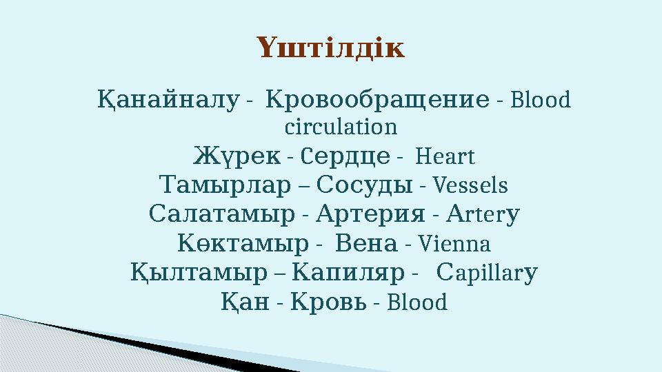 - Қанайналу - Кровообращение Blood circulation - Жүрек C - ердце Heart Тамырлар – С осуды - Vessels - - Сал