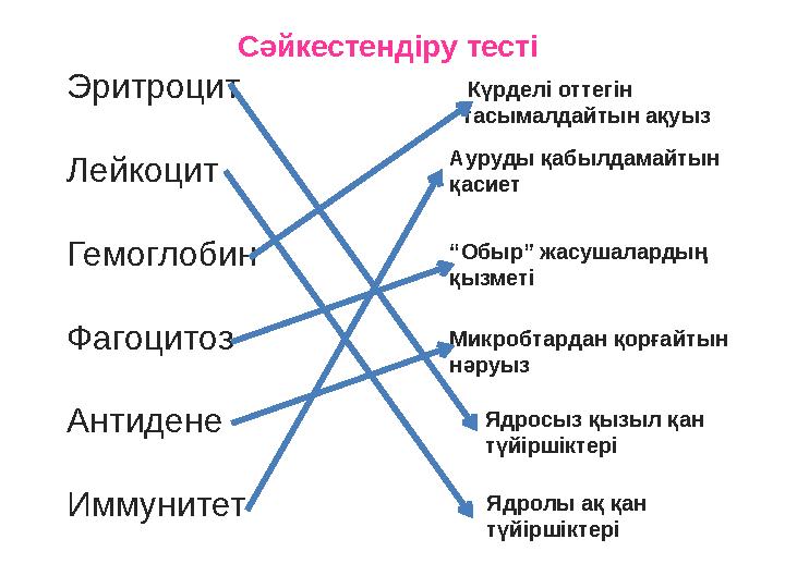 Сәйкестендіру тесті Эритроцит Лейкоцит Гемоглобин Фагоцитоз Антидене Иммунитет Күрделі оттегін тасымалдайтын ақуыз Ядролы а