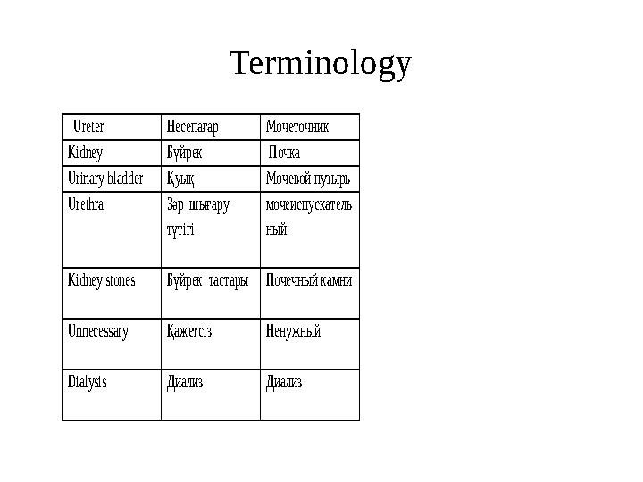 Ureter Несепағар Мочеточник Kidney Бүйрек Почка Urinary bladder Қуық Мочевой пузырь Urethra