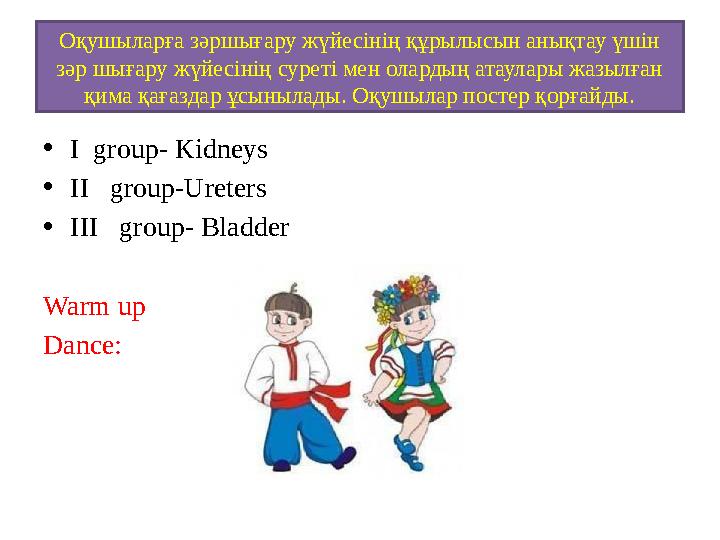 Оқушыларға зәршығару жүйесінің құрылысын анықтау үшін зәр шығару жүйесінің суреті мен олардың атаулары жазылған қима қағаздар