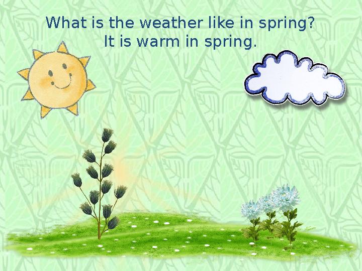 What is the weather like in spring? It is warm in spring.