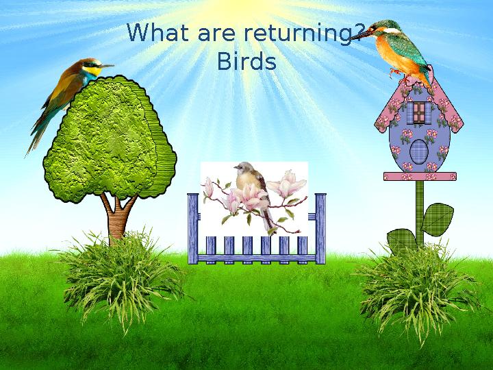 What are returning? Birds