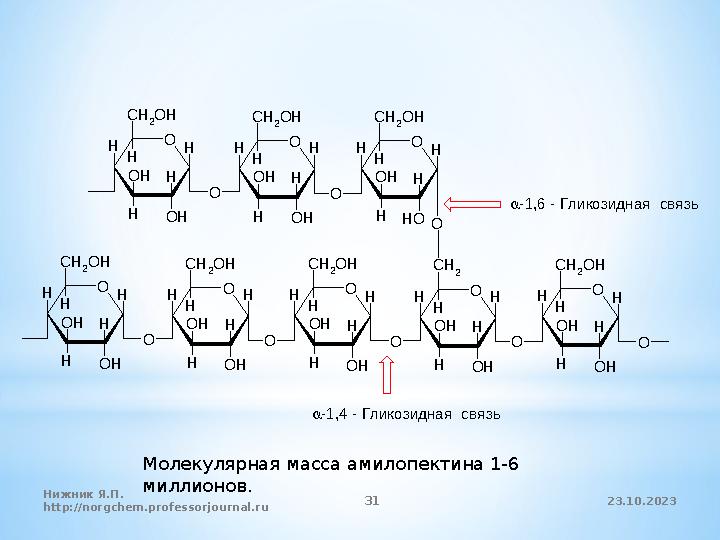 23.10.2023 25Нижник Я.П. http://norgchem.professorjournal.ru* 2.2. Структура полисахаридов * Первичная структура полисахарид