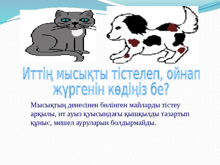 Мысықтың денесінен бөлінген майларды тістеу арқылы, ит ауыз қуысындағы қышқылды тазартып құныс, мешел ауруларын болдырмайды.