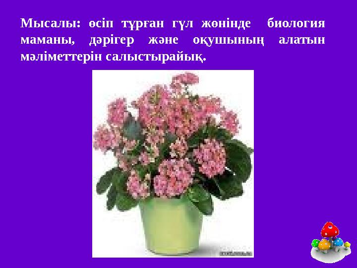 Мысалы: өсіп тұрған гүл жөнінде биология маманы, дәрігер және оқушының алатын мәліметтерін салыстырайық.