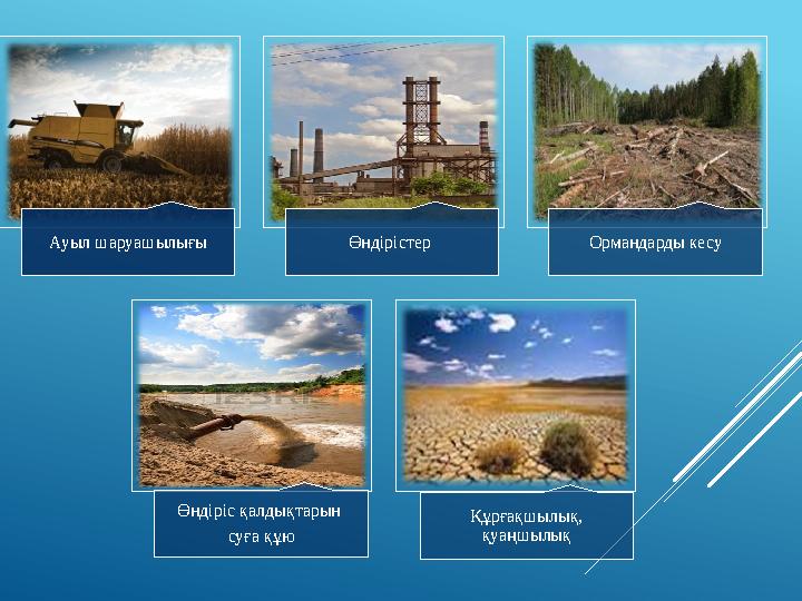 Ауыл шаруашылығы Өндірістер Ормандарды кесу Өндіріс қалдықтарын суға құю Құрғақшылық, қуаңшылық