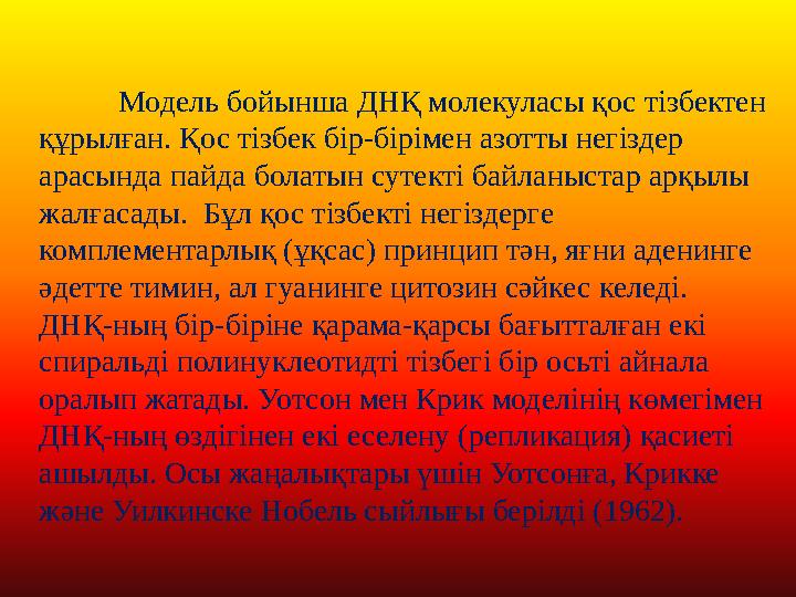 Модель бойынша ДНҚ молекуласы қос тізбектен құрылған. Қос тізбек бір-бірімен азотты негіздер арасында пайда болатын сутекті ба