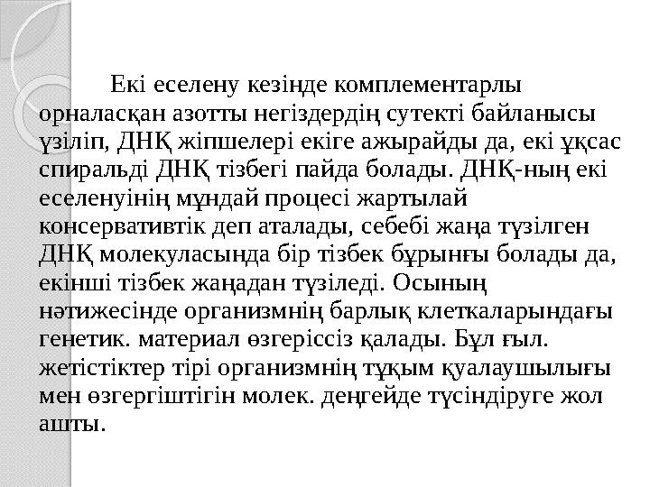 Екі еселену кезінде комплементарлы орналасқан азотты негіздердің сутекті байланысы үзіліп, ДНҚ жіпшелері екіге ажырайды да,