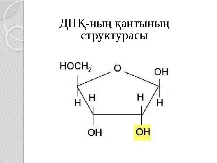 ДНҚ-ның қантының структурасы