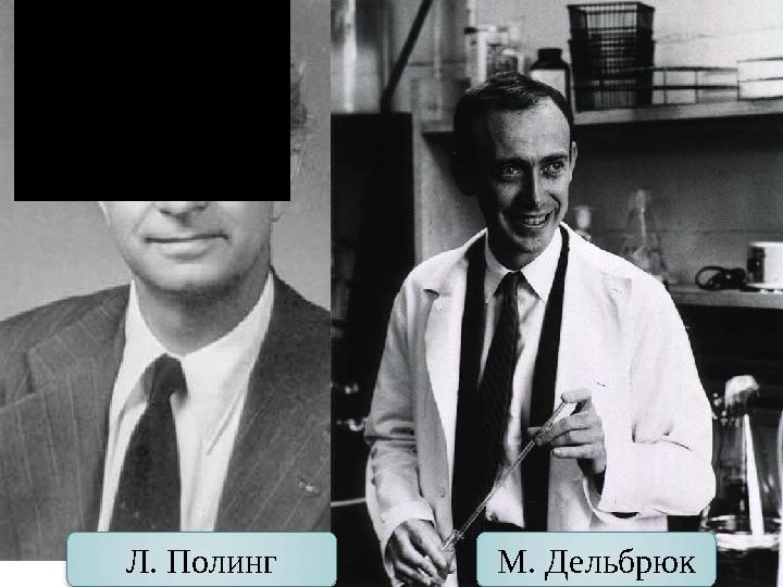 Л. Полинг М. Дельбрюк
