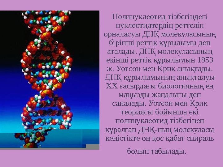 Полинуклеотид т i збег i ндег i нуклеотидтерд i ң реттел i п орналасуы ДНҚ молекуласының б i р i нш i ретт i к құрылымы деп