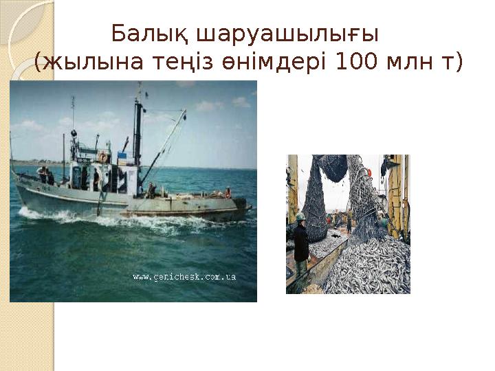 Балық шаруашылығы (жылына теңіз өнімдері 100 млн т)