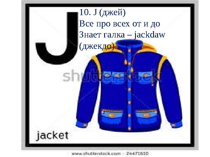 10. J (джей) Все про всех от и до Знает галка – jackdaw (джекдо).