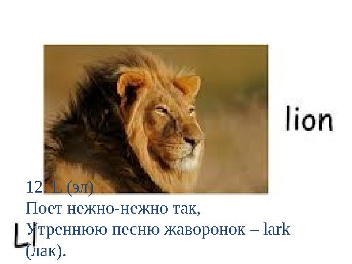 12. L (эл) Поет нежно-нежно так, Утреннюю песню жаворонок – lark (лак).