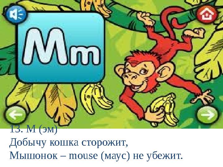 13. M (эм) Добычу кошка сторожит, Мышонок – mouse (маус) не убежит.