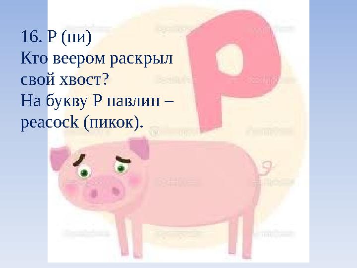 16. P (пи) Кто веером раскрыл свой хвост? На букву P павлин – peacock (пикок).