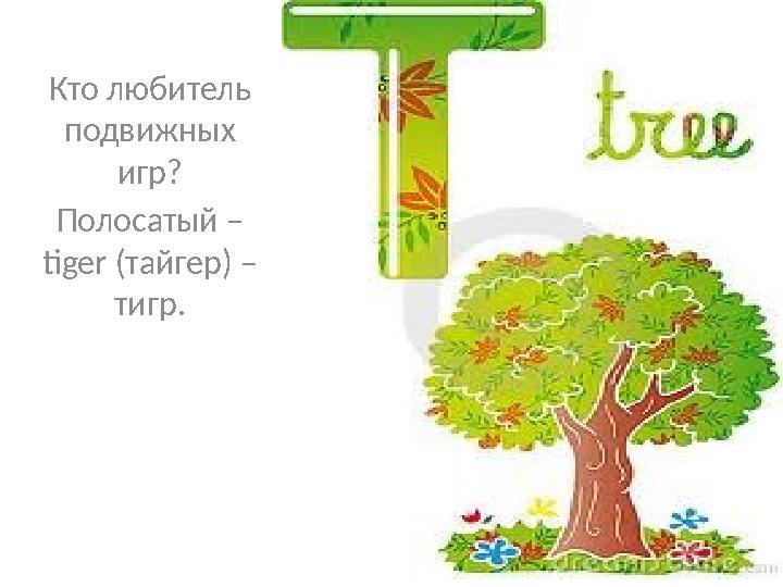Кто любитель подвижных игр? Полосатый – tiger (тайгер) – тигр.