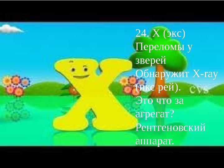 24. X (экс) Переломы у зверей Обнаружит X-ray (икс рей). Это что за агрегат? Рентгеновский аппарат.