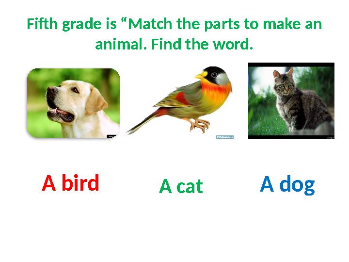 Fifth grade is “Match the parts to make an animal. Find the word. A cat A bird A dog