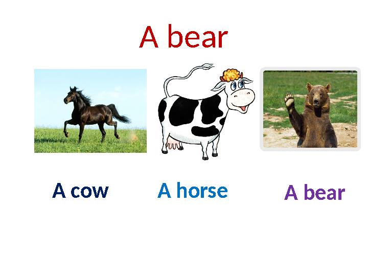 A bear A cow A horse A bear