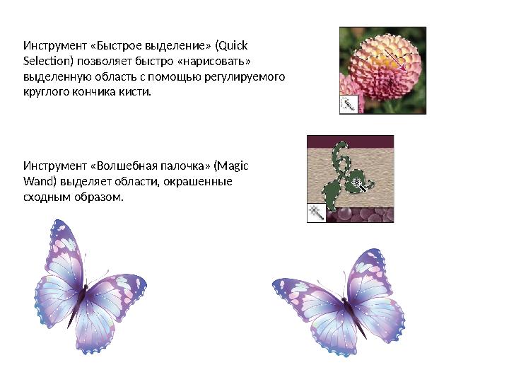Инструмент «Быстрое выделение» (Quick Selection) позволяет быстро «нарисовать» выделенную область с помощью регулируемого кру
