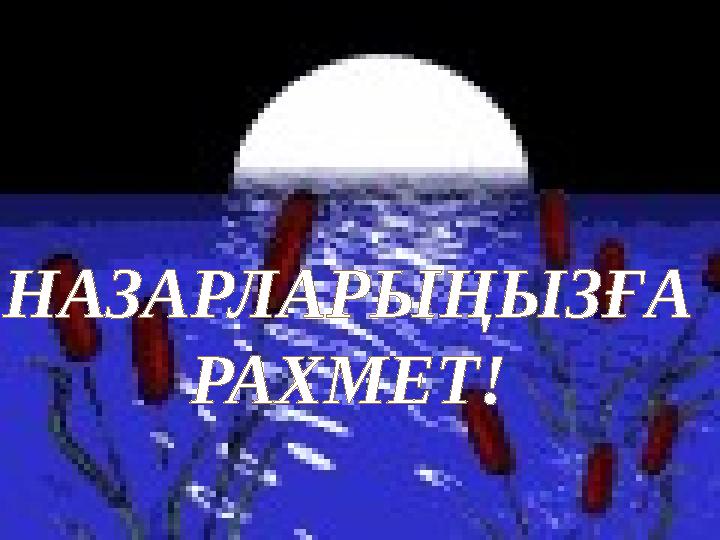 НАЗАРЛАРЫҢЫЗҒА РАХМЕТ!