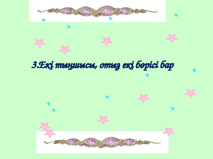 3.Екі тыңшысы, отыз екі бөрісі бар