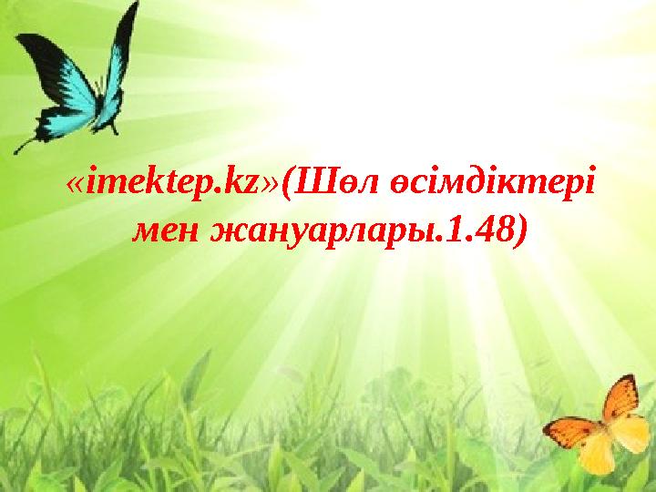 Орыс анальный секс ірі планда онлайн Порно орыс егіздер