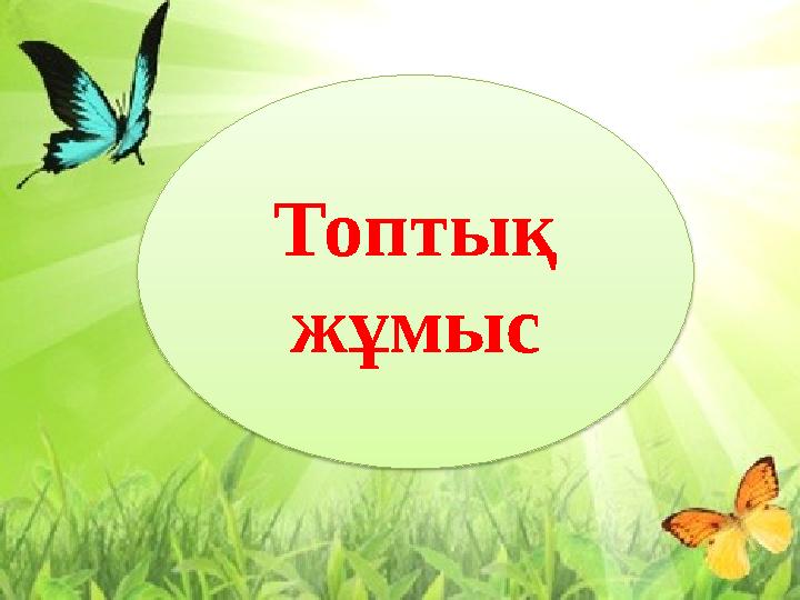 Топтық жұмыс