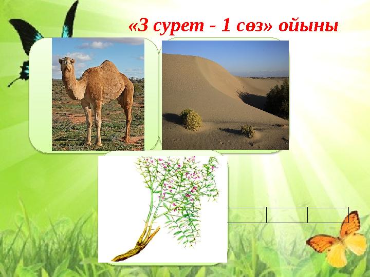 «3 сурет - 1 сөз» ойыны «3 сурет - 1 сөз» ойыны