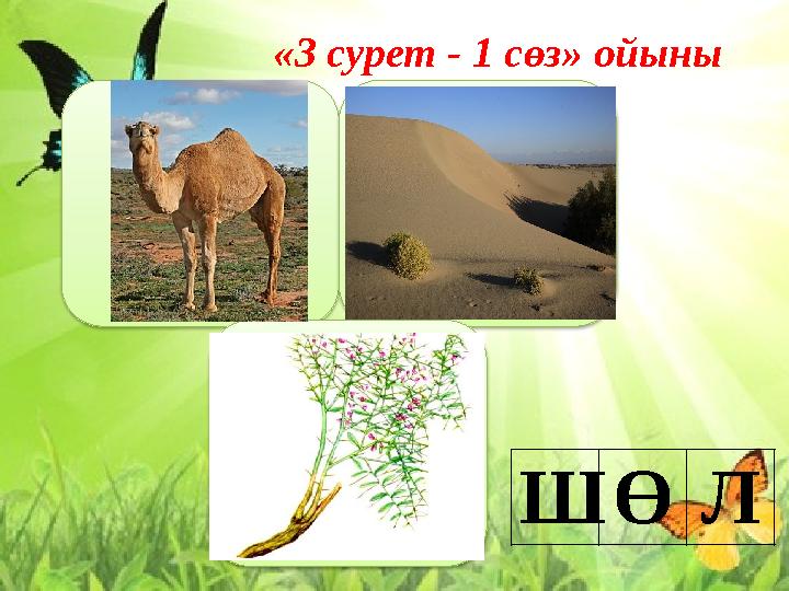 «3 сурет - 1 сөз» ойыны «3 сурет - 1 сөз» ойыны Ш Ө Л