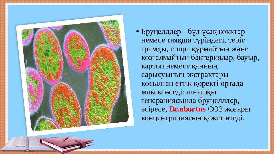 • Бруцеллдер - бұл ұсақ кокктар немесе таяқша түріндегі, теріс грамды, спора құрмайтын және қозғалмайтын бактериялар, бауыр,
