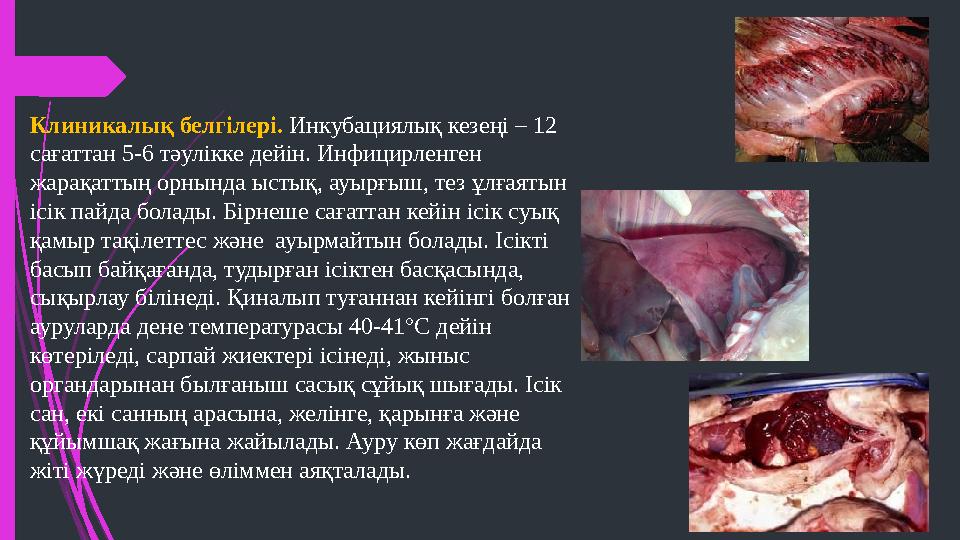 Клиникалық белгілері. Инкубациялық кезеңі – 12 сағаттан 5-6 тәулікке дейін. Инфицирленген жарақаттың орнында ыстық, ауырғыш,