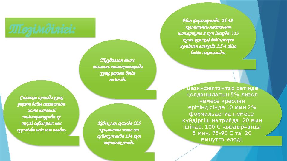 Дезинфектантар ретінде қолданылатын 5% лизол немесе креолин ерітіндісінде 10 мин,2% формальдегид немесе күйдіргіш натрийд