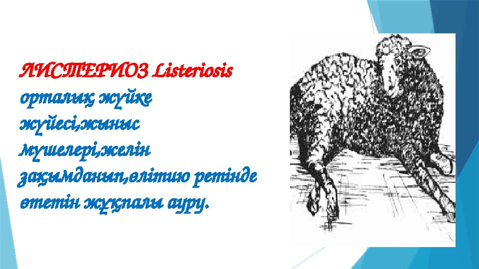 ЛИСТЕРИОЗ Listeriosis орталық жүйке жүйесі,жыныс мүшелері,желін зақымданып,өлітию ретінде өтетін жұқпалы ауру.
