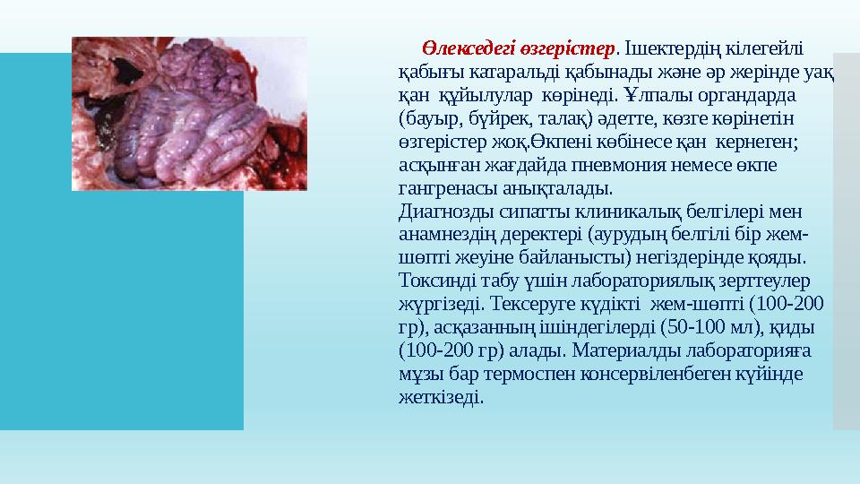 Өлекседегі өзгерістер . Ішектердің кілегейлі қабығы катаральді қабынады және әр жерінде уақ қан құйылулар көрінеді. Ұлпалы о