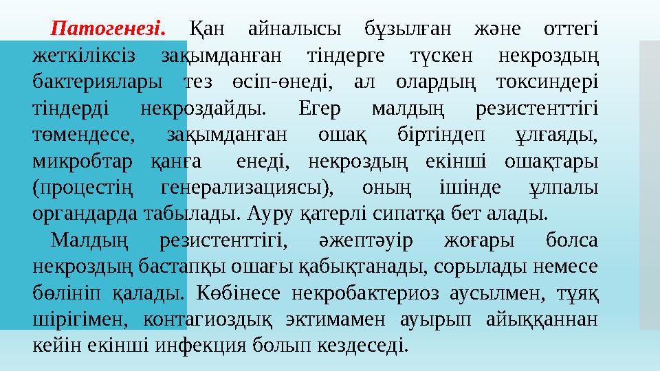 Патогенезі . Қан айналысы бұзылған және оттегі жеткіліксіз зақымданған тіндерге түскен некроздың бактериялары тез