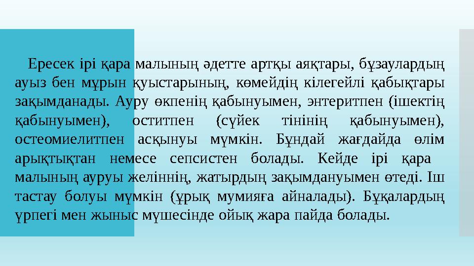 Ересек ірі қара малының әдетте артқы аяқтары, бұзаулардың ауыз бен мұрын қуыстарының, көмейдің кілегейлі қабықтары