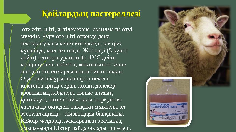 Қойлардың пастереллезі өте жіті, жіті, жітілеу және созылмалы өтуі мүмкін. Ауру өте жіті өткенде дене температурасы кенет к