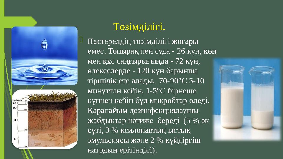 Төзімділігі.  Пастерелдің төзімділігі жоғары емес. Топырақ пен суда - 26 күн, көң мен құс саңғырығында - 72 күн, өлекселерд