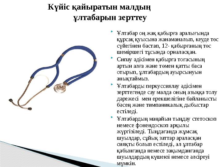  Ұлтабар оң жақ қабырға аралығында құрсақ қуысына жанаманалып, кеуде төс сүйегінен бастап, 12- қабырғаның төс шеміршегі тұ
