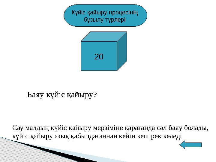 Күйіс қайыру процесінің бұзылу түрлері 20 Баяу күйіс қайыру ? Сау малдың күйіс қайыру мерзіміне қарағанда сәл баяу болады, кү