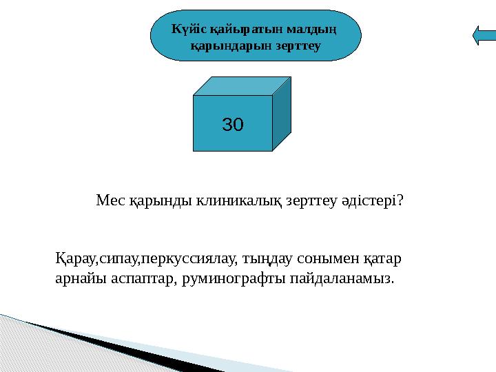 Күйіс қайыратын малдың қарындарын зерттеу 30 Мес қарынды клиникалық зерттеу әдістері ? Қарау,сипау,перкуссиялау, тыңдау соны