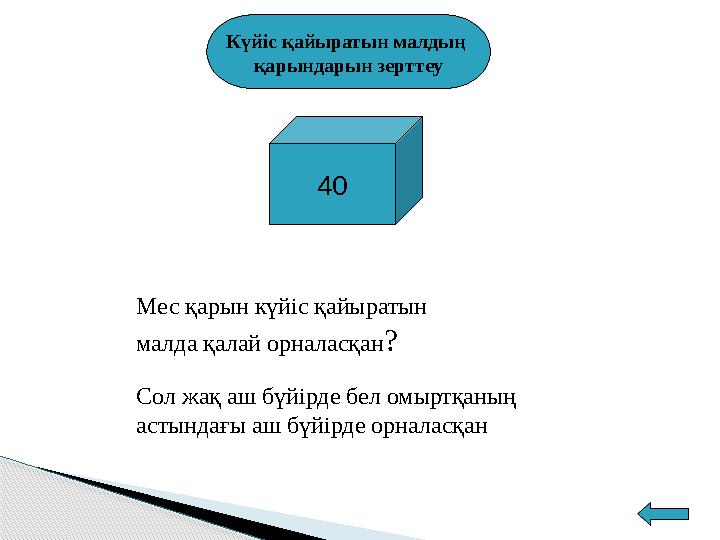 Клиторды қалай сипау керек