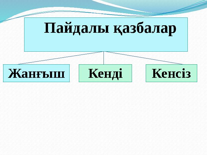 Пайдалы қазбалар Жанғыш Кенді Кенсіз
