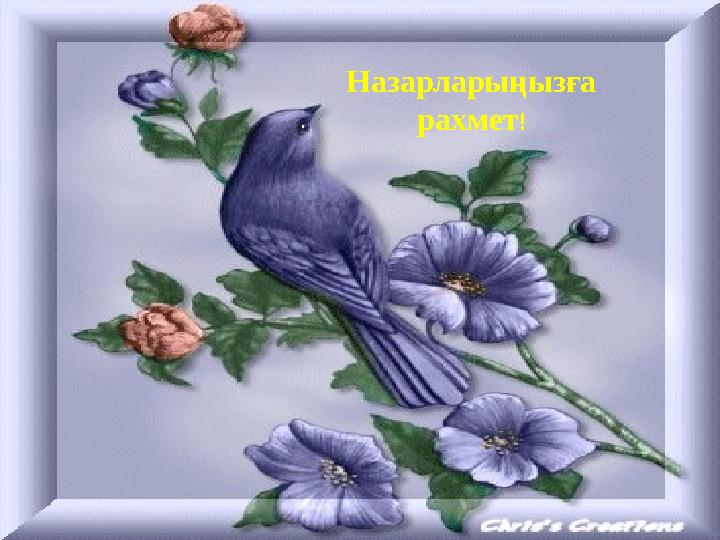 Назарларыңызға рахмет !