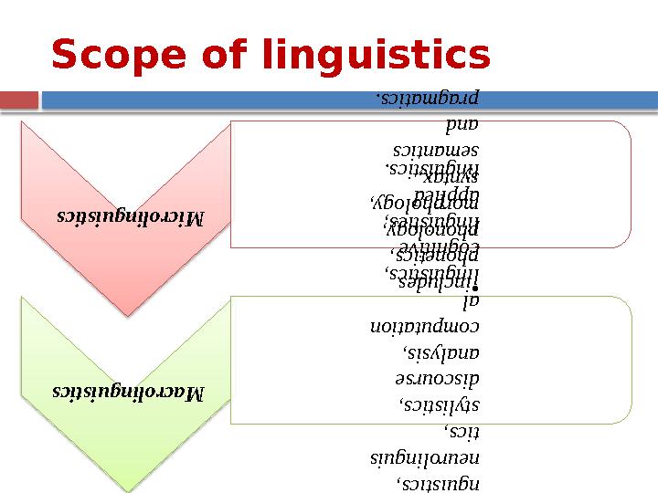 Scope of linguisticsMicrolinguistics •includes phonetics, phonology, morphology, syntax, semantics and pragmatic s.