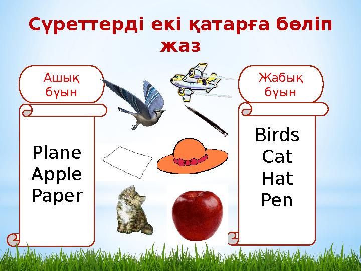 C үреттерді екі қатарға бөліп жаз Plane Apple Paper Birds Cat Hat PenАшық бүын Жабық бүын