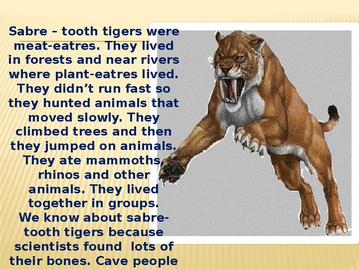 Sabre – tooth tigers were meat-eatres. They lived in forests and near rivers where plant-eatres lived. They didn’t run fast
