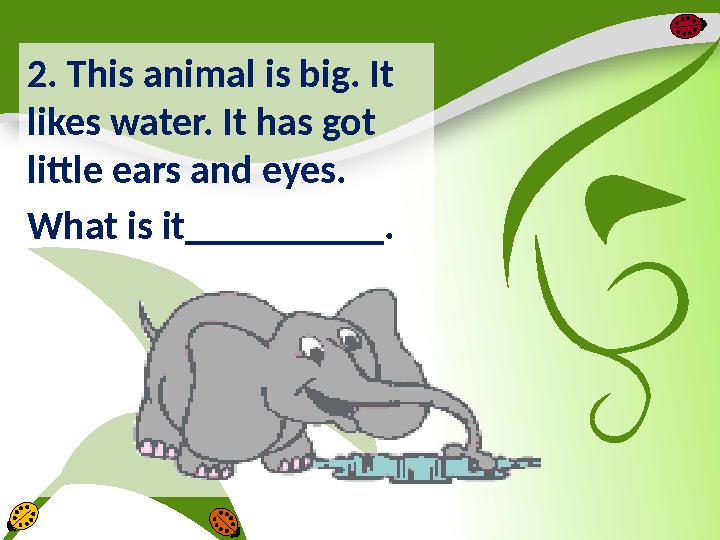 2. This animal is big. It likes water. It has got little ears and eyes. What is it__________.
